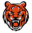 Image of the TSB Mascot Tiger